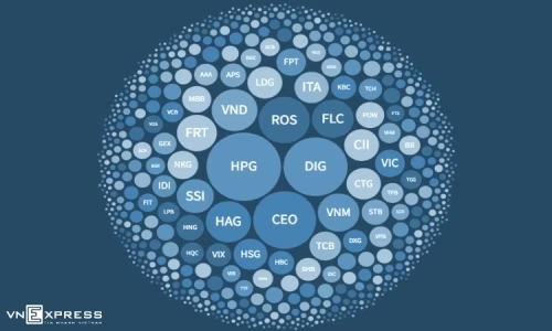 Cổ phiếu của năm 2021: DIG, HPG và CEO