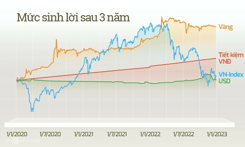 Kênh đầu tư nào sinh lợi tốt nhất từ Covid-19 đến nay?